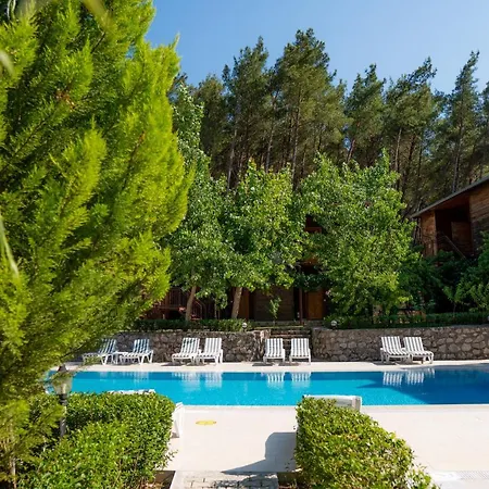 Olimpia Guest house *