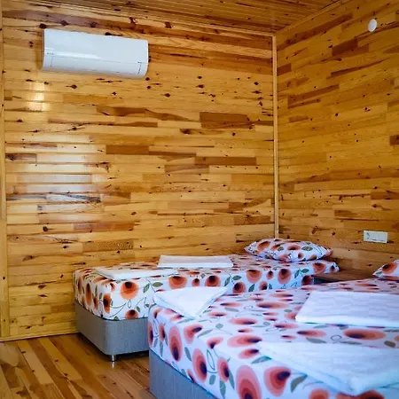 Olimpia Guest house *
