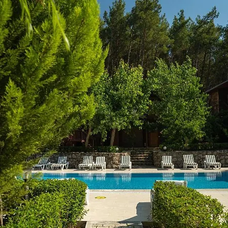 Olimpia Guest house