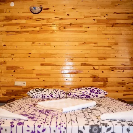 Olimpia Guest house *