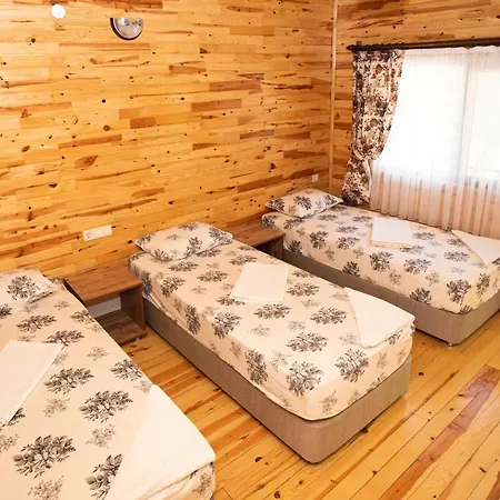 Olimpia Guest house *