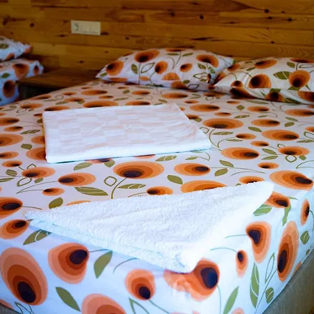 Olimpia Guest house *