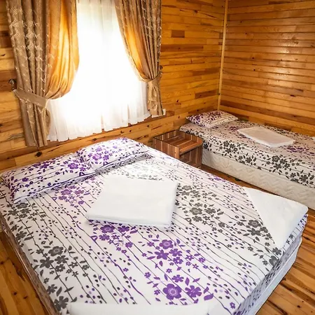 Olimpia Guest house *