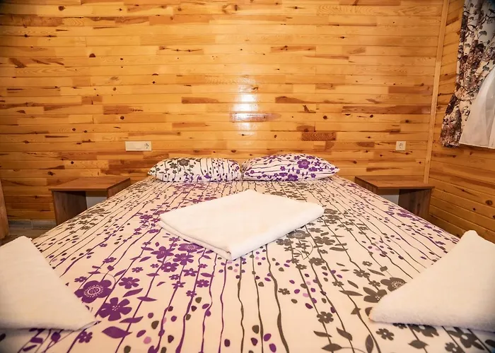 Ξενοδοχείο Olimpia 3*