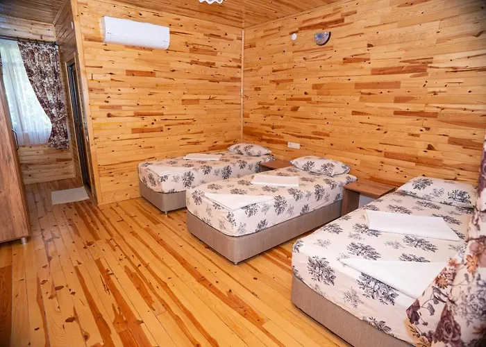 Ξενοδοχείο Olimpia 3*