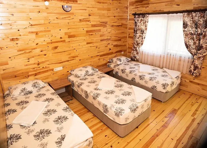 Olimpia Ξενοδοχείο 3*