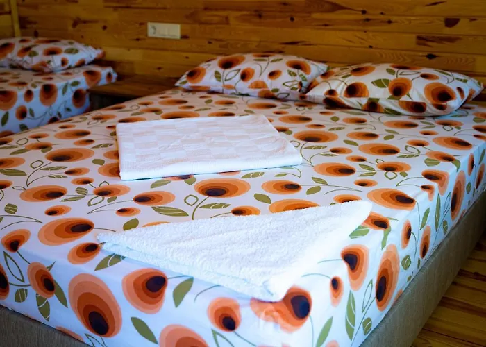 Olimpia Ξενοδοχείο 3*