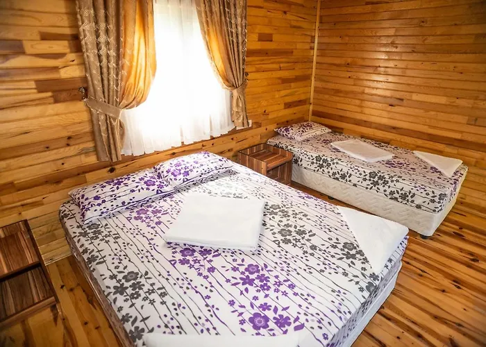 Olimpia Ξενοδοχείο 3*